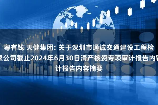 粤有钱 天健集团: 关于深圳市通诚交通建设工程检验有限公司截止2024年6月30日清产核资专项审计报告内容摘要