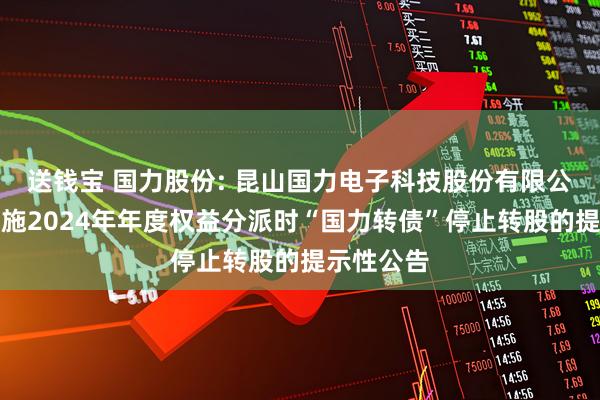 送钱宝 国力股份: 昆山国力电子科技股份有限公司关于实施2024年年度权益分派时“国力转债”停止转股的提示性公告