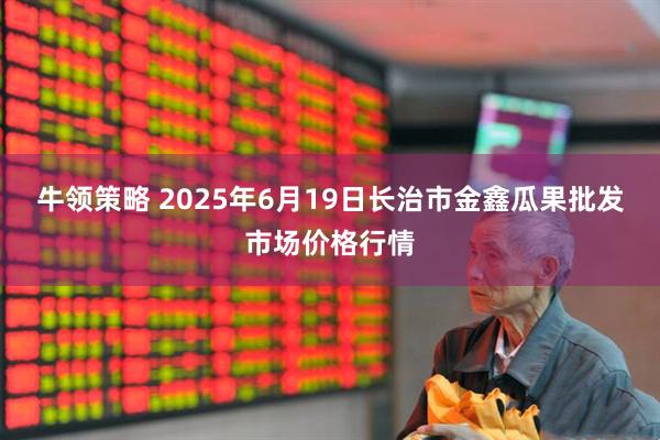 牛领策略 2025年6月19日长治市金鑫瓜果批发市场价格行情