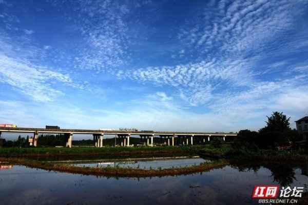 股牛网 高清湖南丨岳阳云溪乡村游记：当钢筋铁骨遇上柔软稻浪