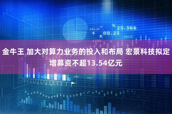 金牛王 加大对算力业务的投入和布局 宏景科技拟定增募资不超13.54亿元
